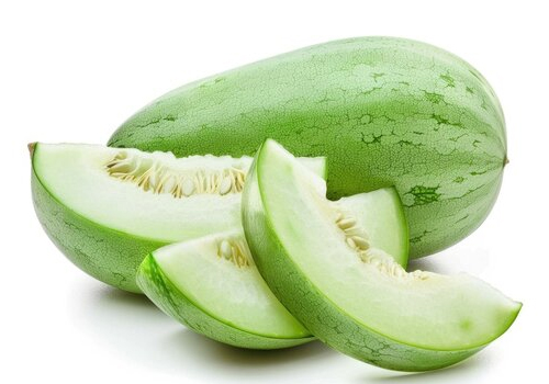 Ash Gourd Exporters from India alappuzha kerala